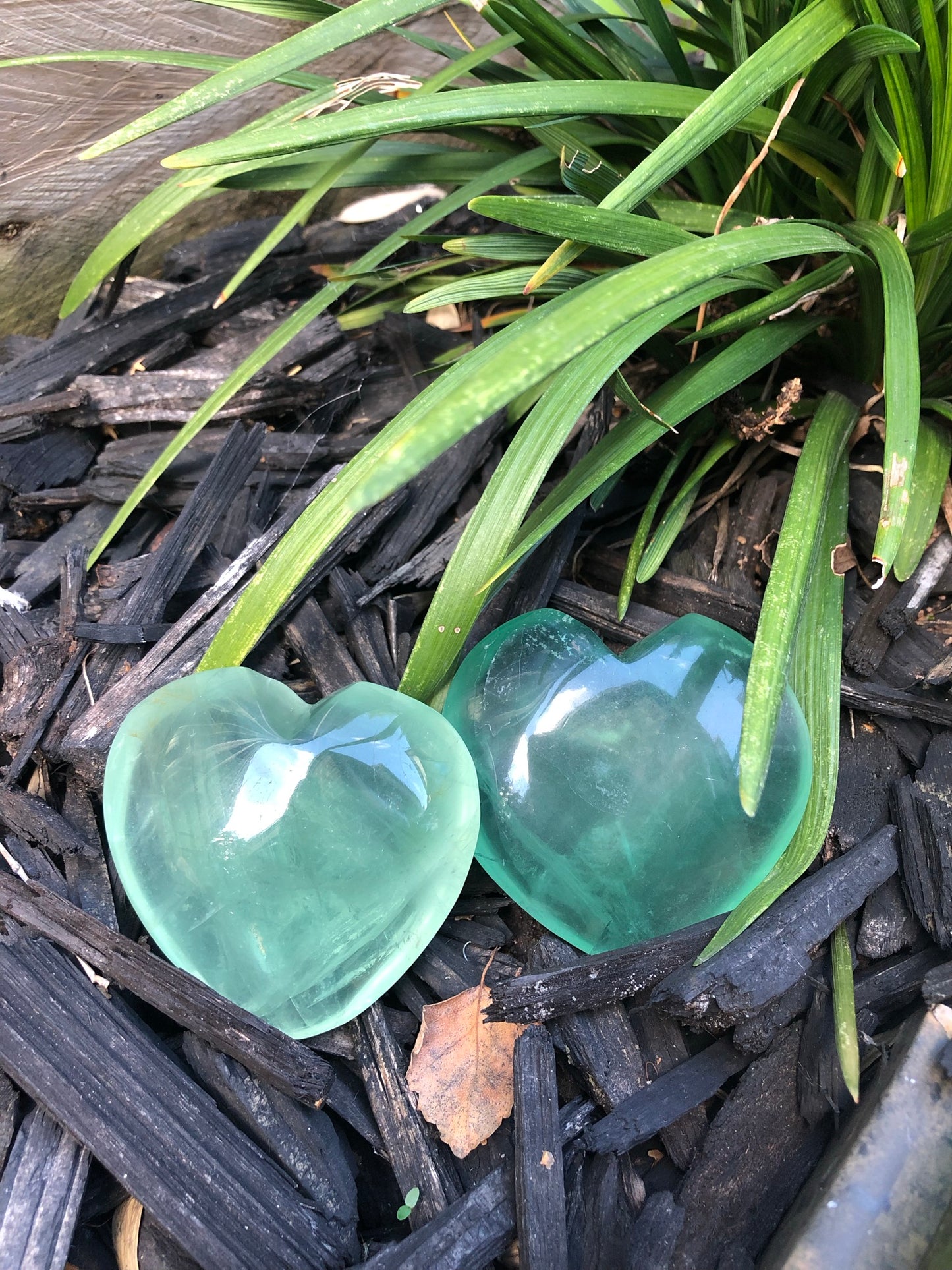 HEART(S)