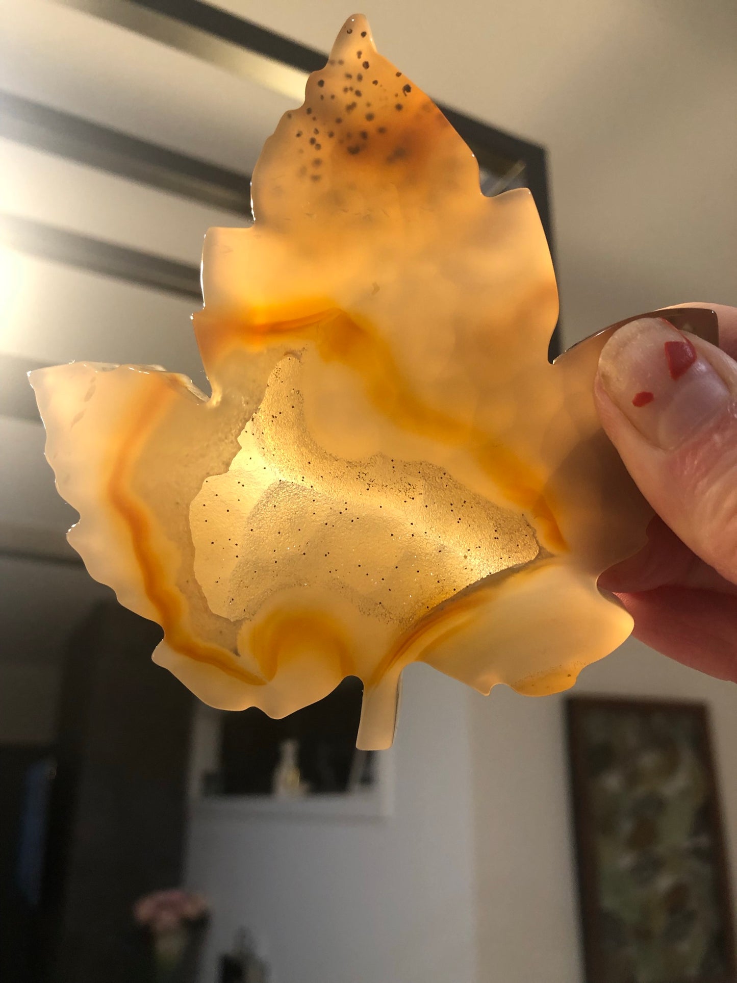 DRUZY AGATE LEAVES