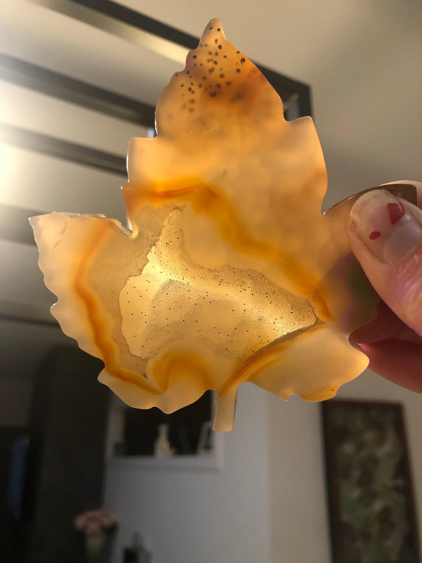 DRUZY AGATE LEAVES