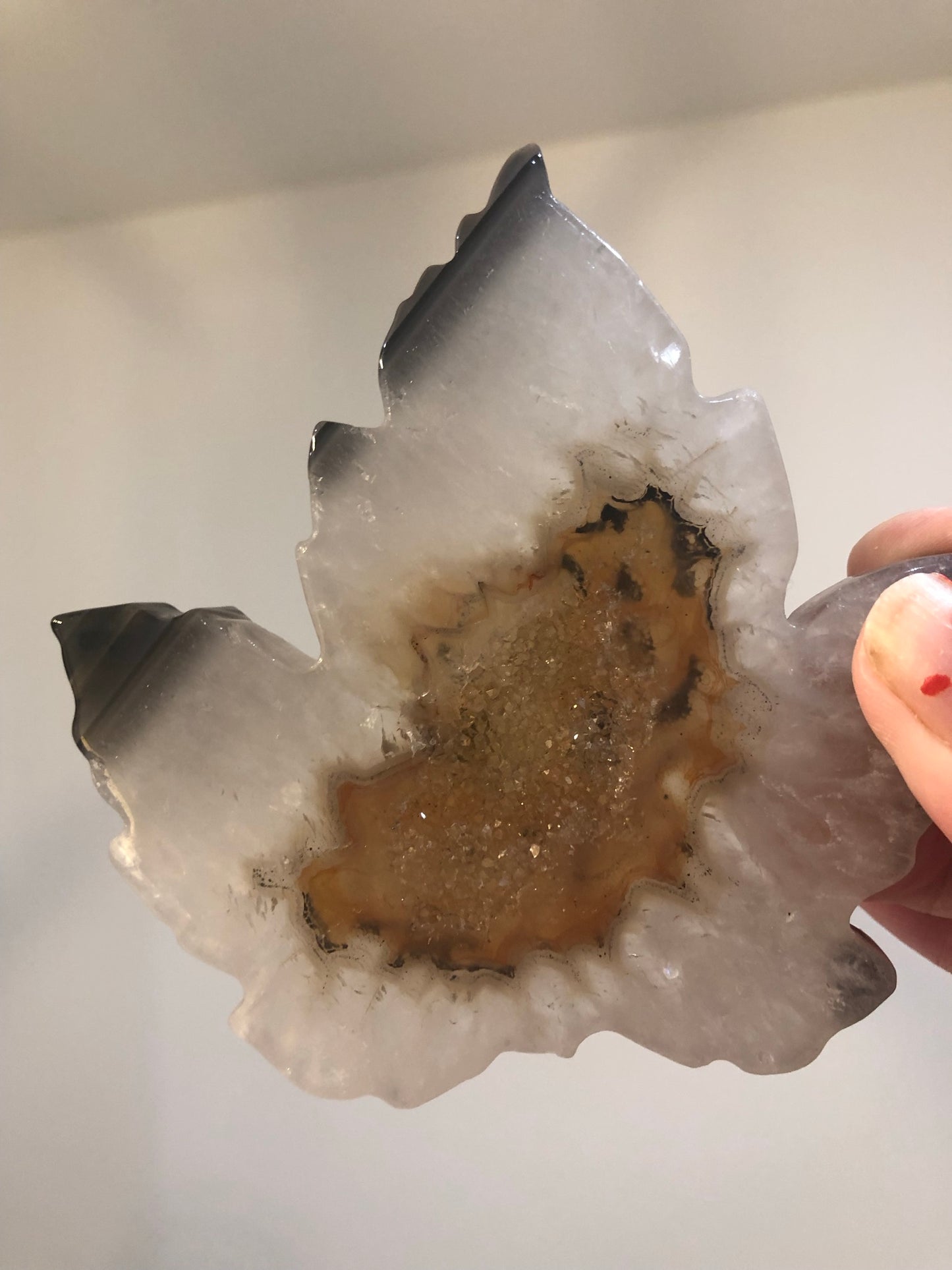 DRUZY AGATE LEAVES