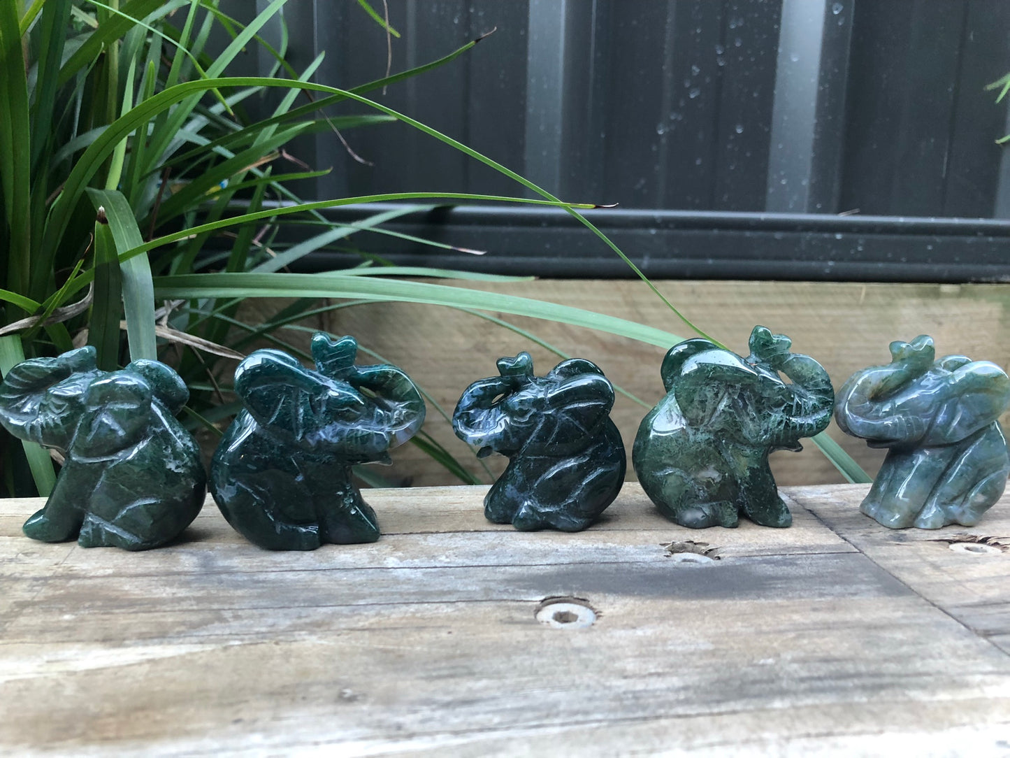 MOSS AGATE ELEPHANTS