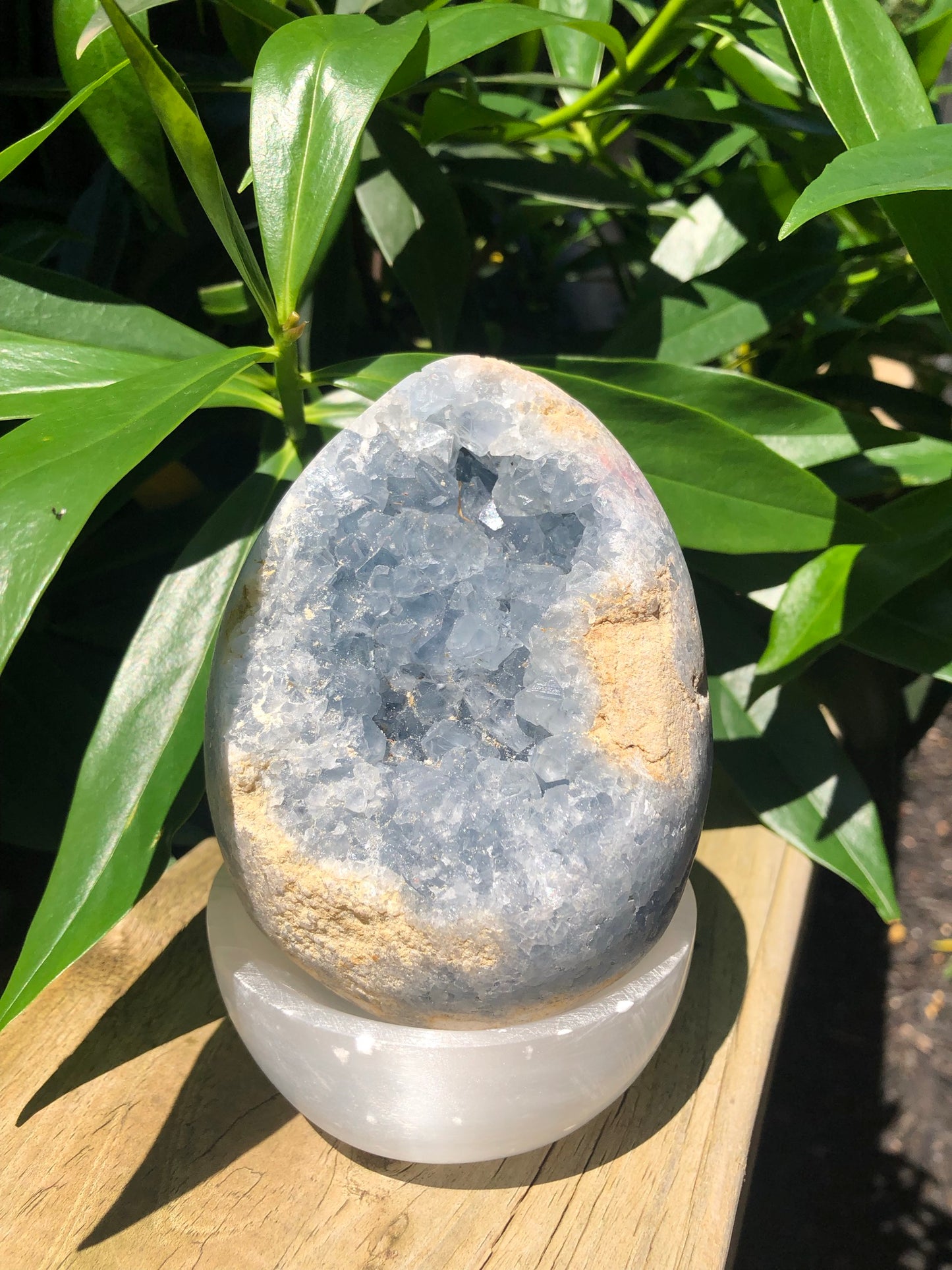 CELESTITE GEODE