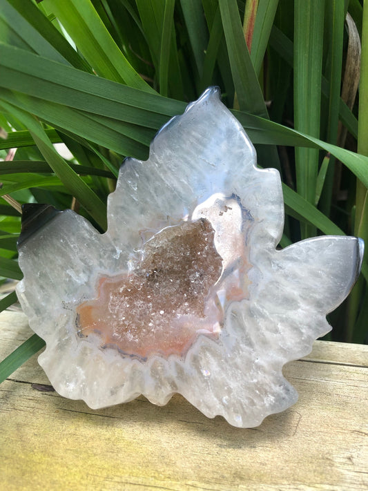 DRUZY AGATE LEAVES