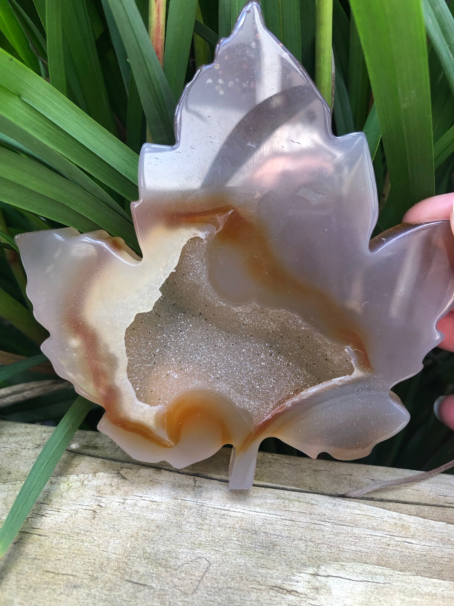 DRUZY AGATE LEAVES