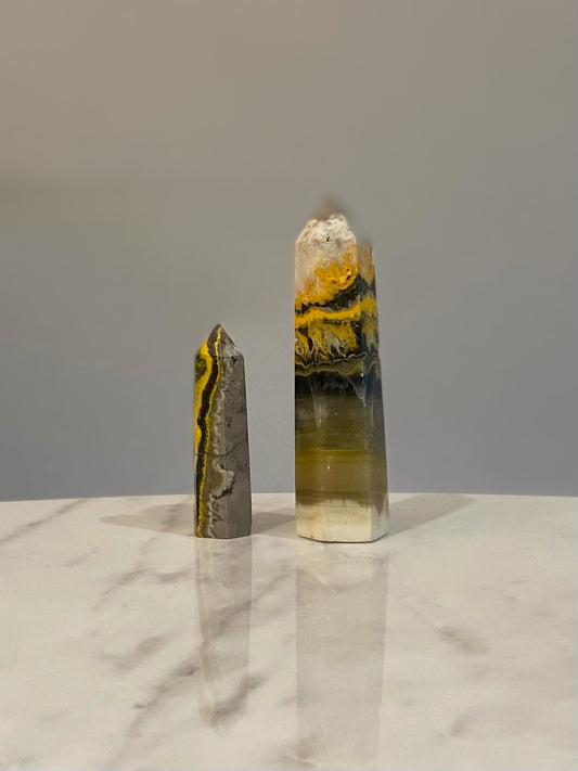 BUMBLEBEE JASPER