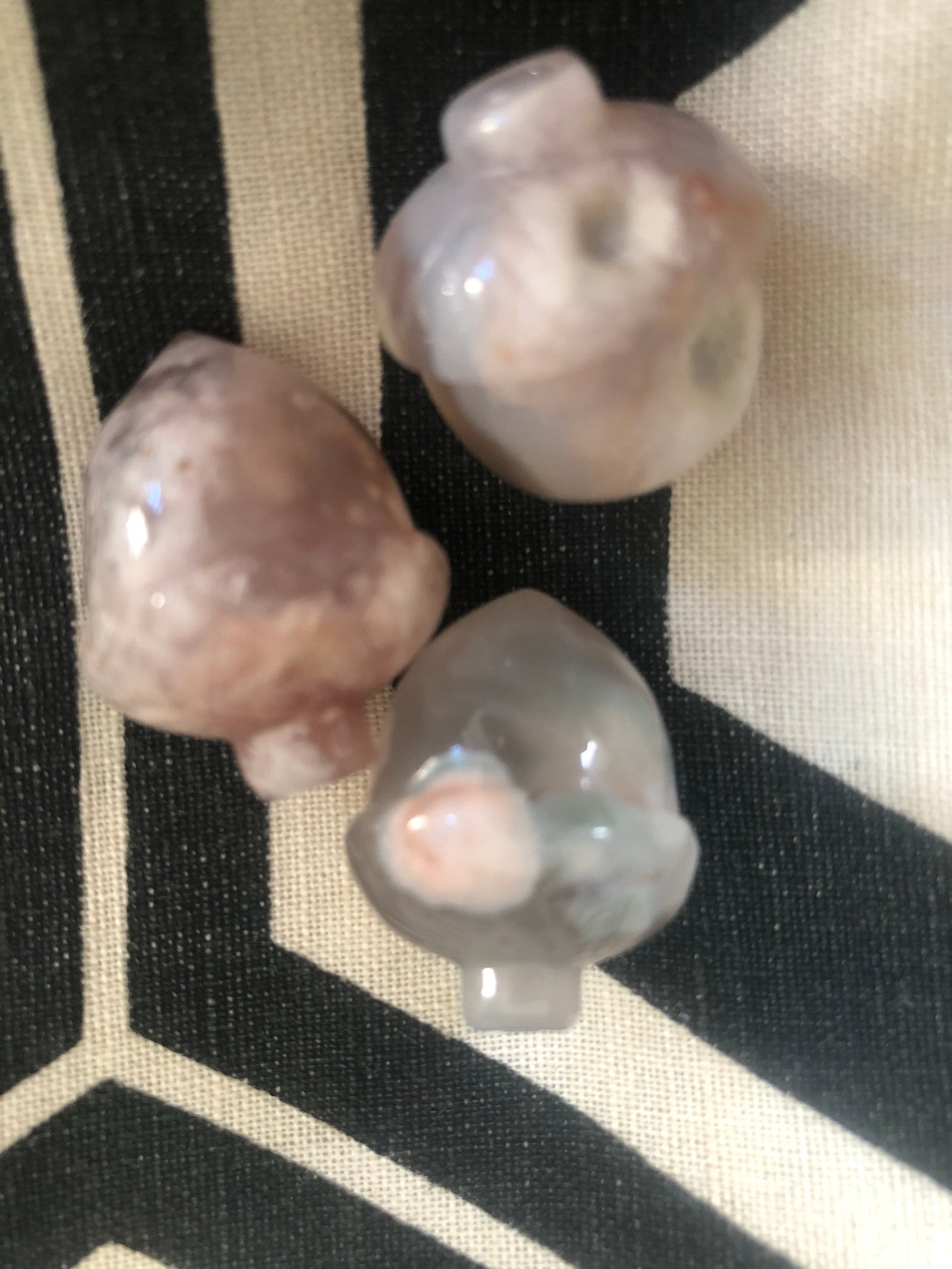 Acorns