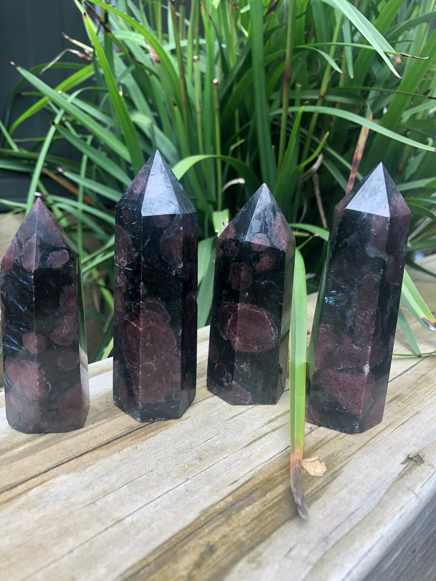 FIREWORKS GARNET POINT(S)