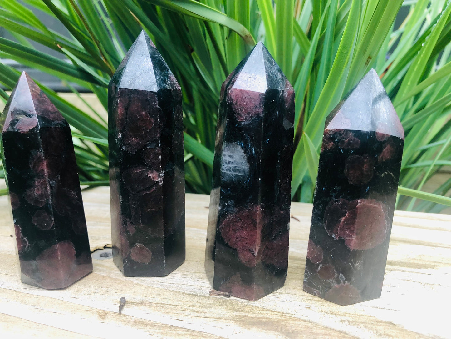 FIREWORKS GARNET POINT(S)