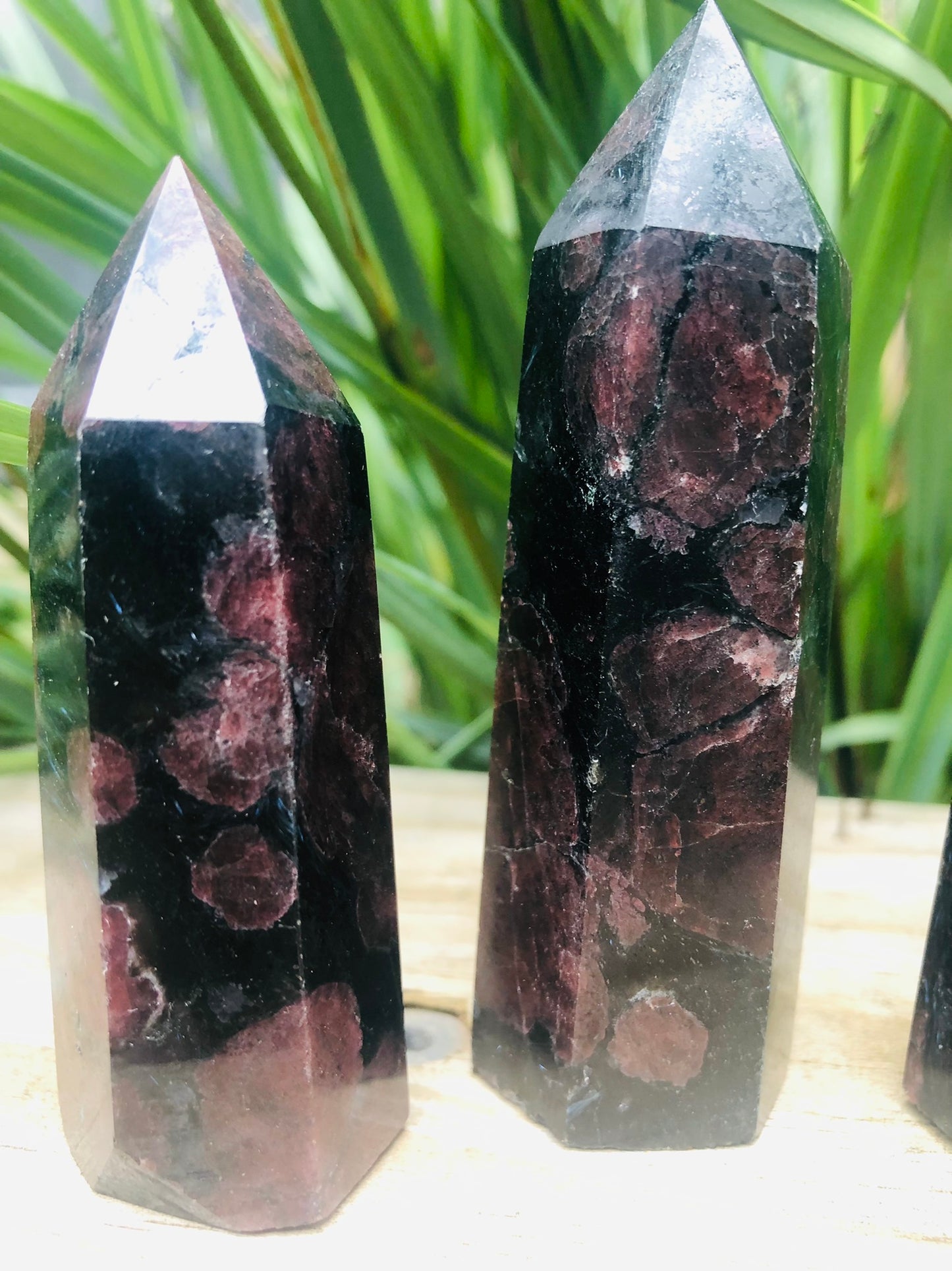 FIREWORKS GARNET POINT(S)