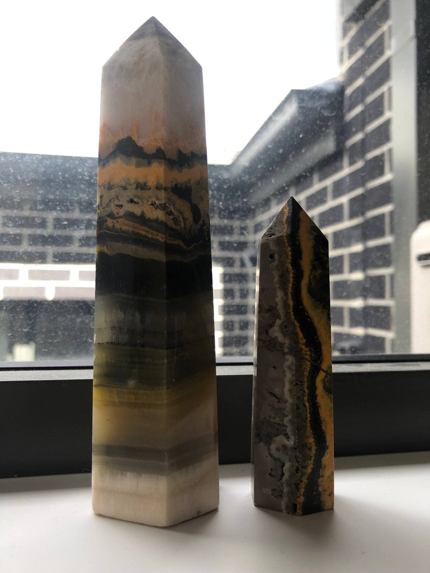 BUMBLEBEE JASPER