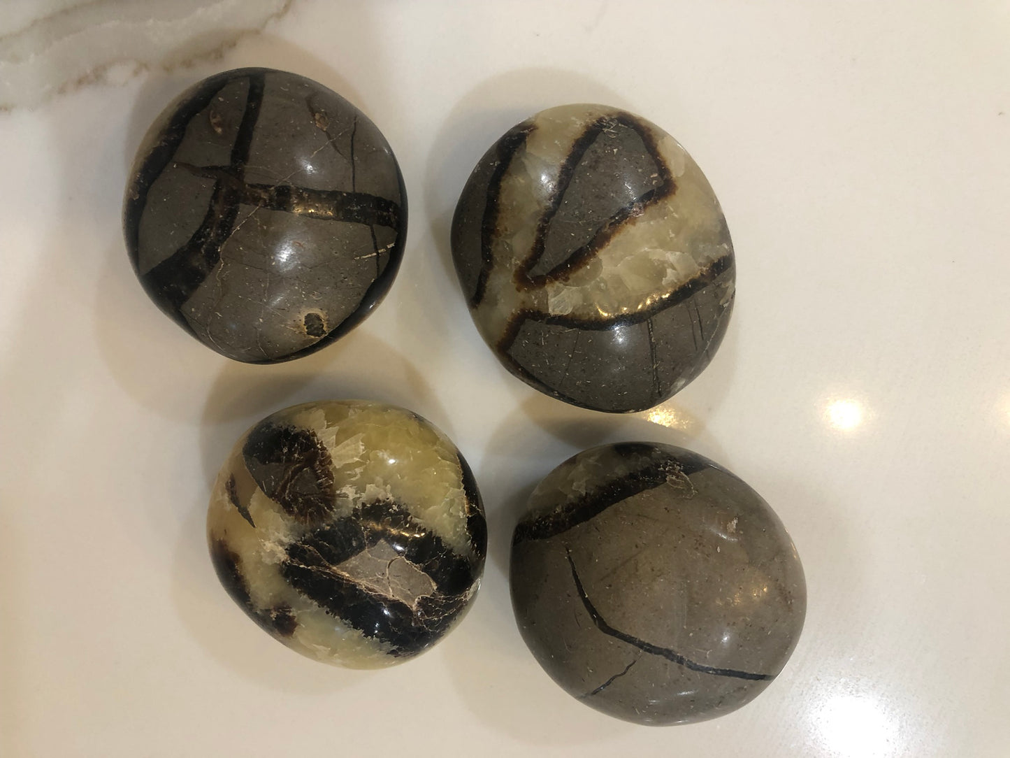 PALM STONES